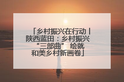 乡村振兴在行动丨陕西蓝田：乡村振兴 “三部曲” 绘就和美乡村新画卷
