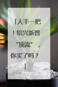 人手一把！绍兴新晋“顶流”，你买了吗？