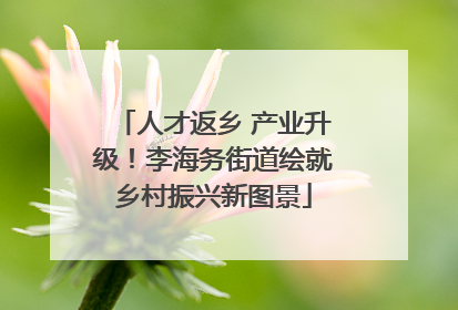 人才返乡 产业升级！李海务街道绘就乡村振兴新图景
