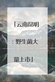云南昆明：野生菌大量上市