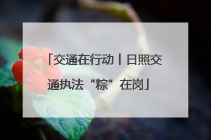 交通在行动丨日照交通执法“粽”在岗