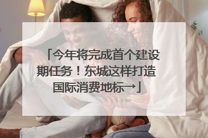今年将完成首个建设期任务！东城这样打造国际消费地标→