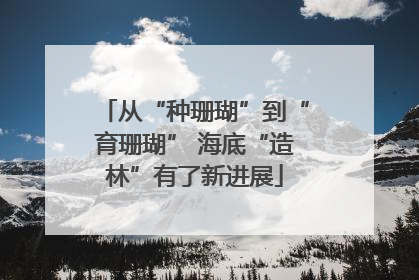 从“种珊瑚”到“育珊瑚” 海底“造林”有了新进展