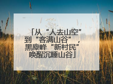 从“人去山空”到“客满山谷”，黑麋峰“新村民”唤醒沉睡山谷