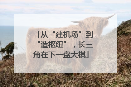 从“建机场”到“造枢纽”，长三角在下一盘大棋