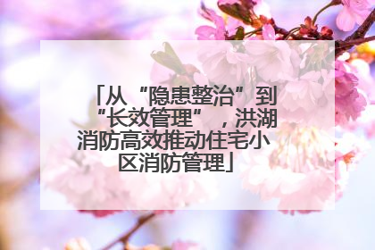 从“隐患整治”到“长效管理”，洪湖消防高效推动住宅小区消防管理