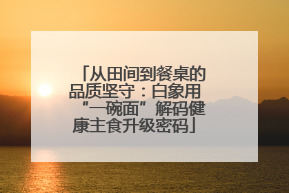 从田间到餐桌的品质坚守：白象用“一碗面”解码健康主食升级密码