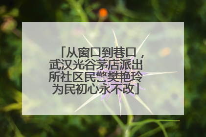从窗口到巷口，武汉光谷茅店派出所社区民警樊艳玲为民初心永不改