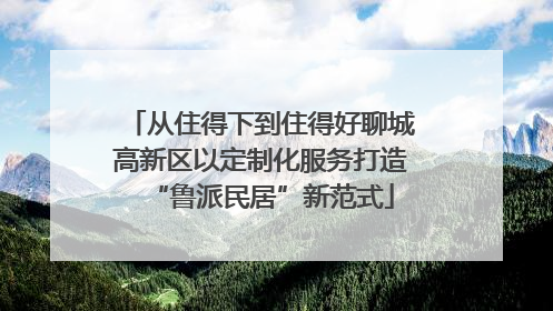 从住得下到住得好聊城高新区以定制化服务打造“鲁派民居”新范式