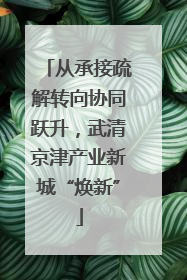 从承接疏解转向协同跃升，武清京津产业新城“焕新”