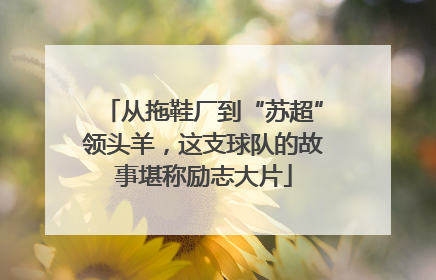 从拖鞋厂到“苏超”领头羊，这支球队的故事堪称励志大片