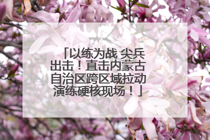 以练为战 尖兵出击！直击内蒙古自治区跨区域拉动演练硬核现场！