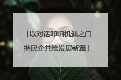 以对话叩响机遇之门 携民企共绘发展新篇