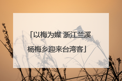 以梅为媒 浙江兰溪杨梅乡迎来台湾客