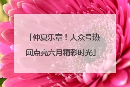 仲夏乐章！大众号热闻点亮六月精彩时光