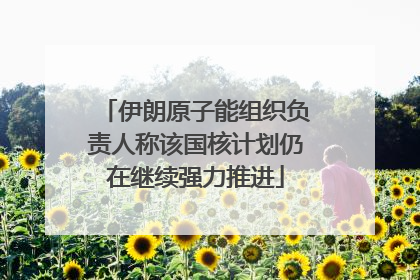 伊朗原子能组织负责人称该国核计划仍在继续强力推进