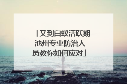 又到白蚁活跃期 池州专业防治人员教你如何应对