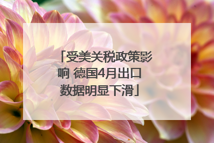 受美关税政策影响 德国4月出口数据明显下滑