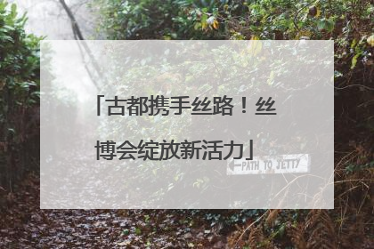 古都携手丝路！丝博会绽放新活力