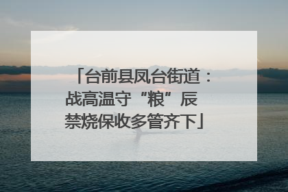 台前县凤台街道：战高温守“粮”辰 禁烧保收多管齐下