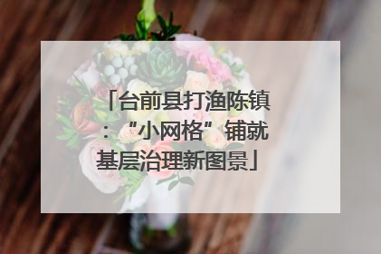 台前县打渔陈镇：“小网格”铺就基层治理新图景