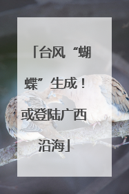 台风“蝴蝶”生成！或登陆广西沿海
