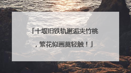 十堰旧铁轨邂逅夹竹桃，繁花似画莫轻触！