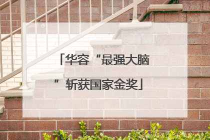 华容“最强大脑”斩获国家金奖