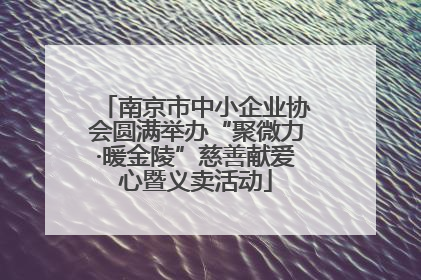 南京市中小企业协会圆满举办“聚微力·暖金陵”慈善献爱心暨义卖活动