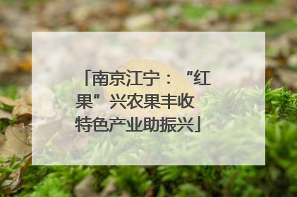 南京江宁：“红果”兴农果丰收 特色产业助振兴