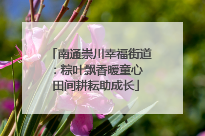 南通崇川幸福街道：粽叶飘香暖童心 田间耕耘助成长