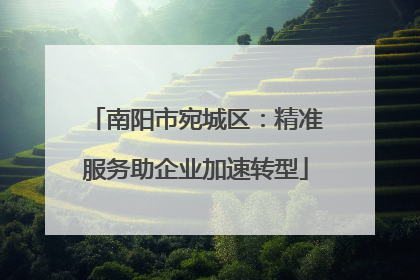南阳市宛城区：精准服务助企业加速转型