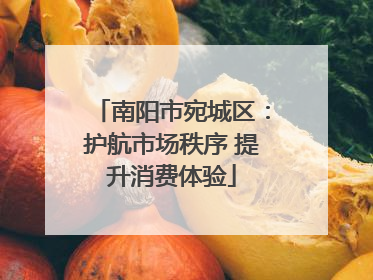 南阳市宛城区：护航市场秩序 提升消费体验