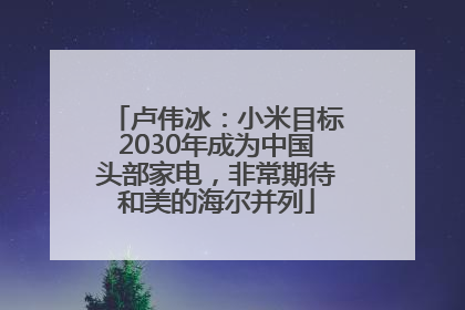 卢伟冰：小米目标2030年成为中国头部家电，非常期待和美的海尔并列