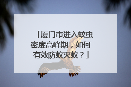 厦门市进入蚊虫密度高峰期，如何有效防蚊灭蚊？