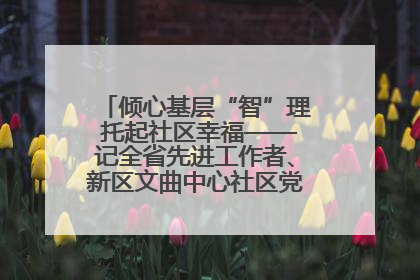 倾心基层“智”理 托起社区幸福——记全省先进工作者、新区文曲中心社区党委书记董世弘