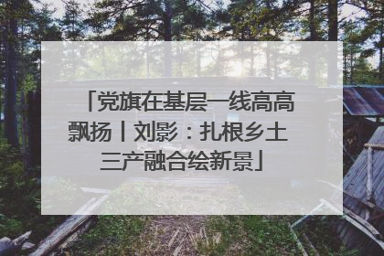 党旗在基层一线高高飘扬丨刘影：扎根乡土 三产融合绘新景