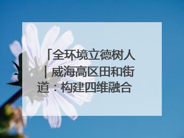 全环境立德树人｜威海高区田和街道：构建四维融合体系 绘就全环境立德树人新画卷