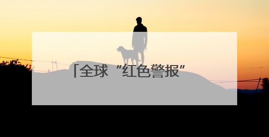 全球“红色警报”  每分钟失去18个足球场大小的热带雨林