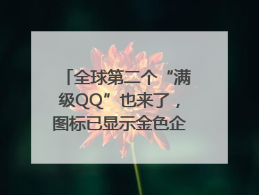 全球第二个“满级QQ”也来了，图标已显示金色企鹅，系首个“满级QQ”的小号