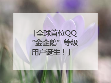 全球首位QQ“金企鹅”等级用户诞生！