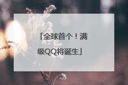 全球首个！满级QQ将诞生