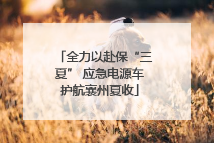 全力以赴保“三夏” 应急电源车护航襄州夏收