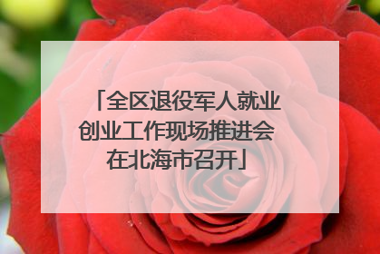 全区退役军人就业创业工作现场推进会在北海市召开