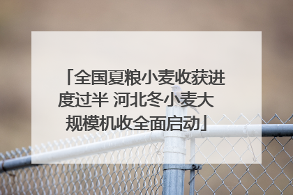 全国夏粮小麦收获进度过半 河北冬小麦大规模机收全面启动