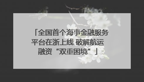 全国首个海事金融服务平台在浙上线 破解航运融资“双重困境”
