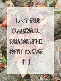六个核桃：以品质筑基、创新领航的植物蛋白饮品标杆