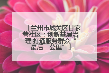 兰州市城关区甘家巷社区：创新基层治理 打通服务群众“最后一公里”