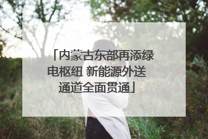 内蒙古东部再添绿电枢纽 新能源外送通道全面贯通