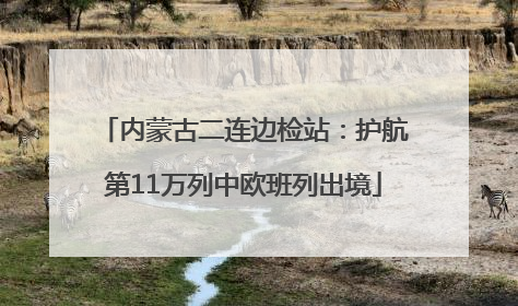 内蒙古二连边检站：护航第11万列中欧班列出境